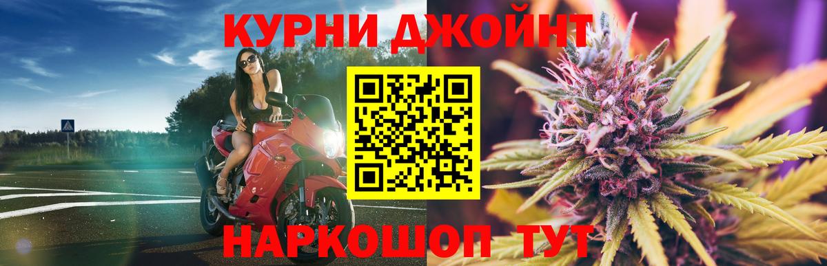 Бошки марихуана OG Kush Великий Новгород